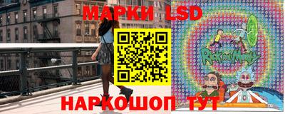 стаф Владимир