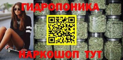 стаф Владимир