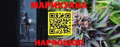 стаф Владимир