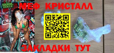 стаф Владимир