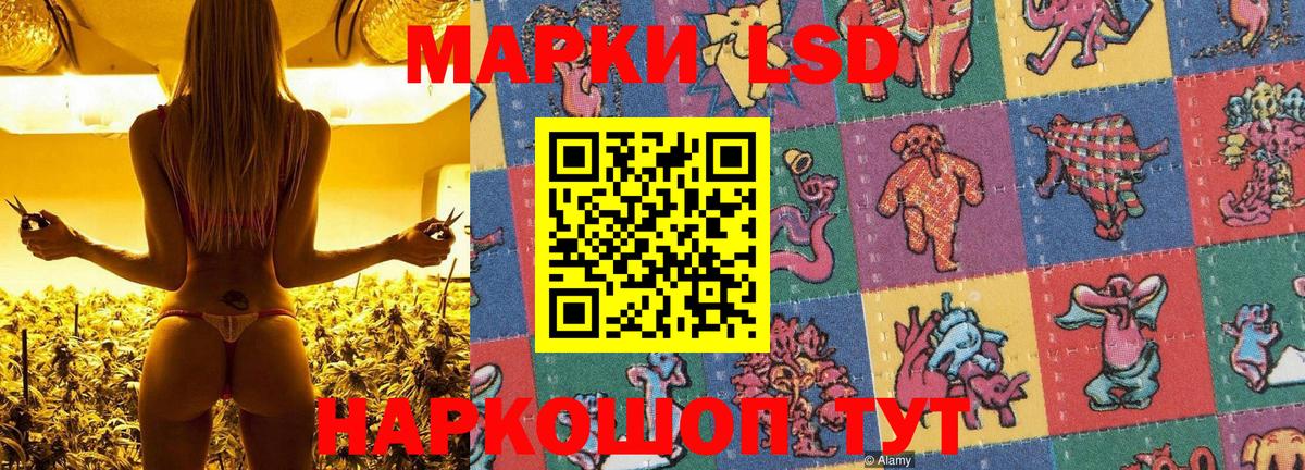 Марки NBOMe  Вход с VPN  Мыски  Марки NBOMe 1500мкг  Марки NBOMe 1500мкг 