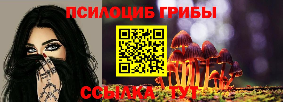 Псилоцибиновые грибы Magic Shrooms Мыски